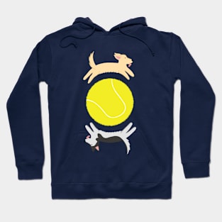 Ball is Life Hoodie